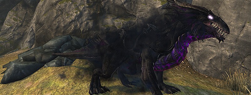 combat power mounts neverwinter