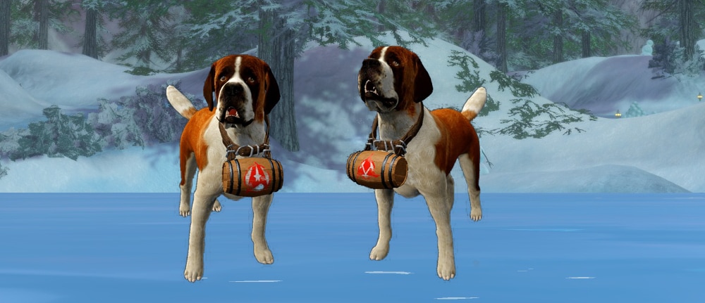 Rescue St. Bernard