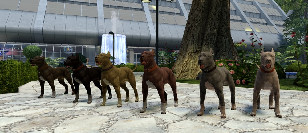 A line of pit bull terriers in the Starfleet Academy gardens