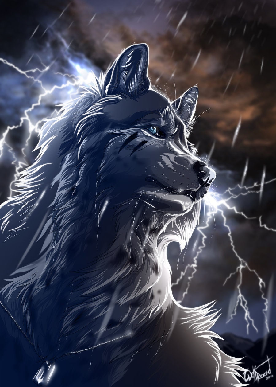 furiethewolf