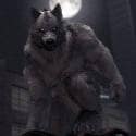 brutewolf#6919