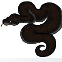 blkpython