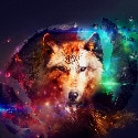 deathwolfdragof8
